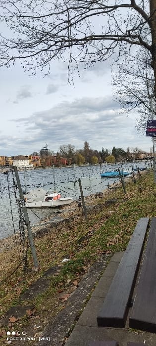 This static, vertical image depicts a tranquil waterfront scene in Constance, Germany, under a heavily overcast sky. The immediate foreground on the right features a dark-brown wooden slatted bench situated on a concrete path. Adjacent to this path is a gently sloping grassy embankment, sparsely covered with green blades and numerous scattered dry brown leaves. A barrier, constructed from grey metal posts connected by taut wire strands, separates the embankment from the water.
In the mid-ground, a calm body of water, consistent with Lake Constance or a connected waterway, stretches horizontally across the frame. Numerous slender, dark vertical poles are distributed throughout the water, likely serving as mooring points. Two distinct recreational boats are visible: a white cabin cruiser with a grey top and an orange detail near the stern is moored on the left, and a smaller, bright blue open boat is moored further to the right.
The background reveals the distant city shoreline of Constance. It features a cluster of multi-story buildings with red-tiled roofs and facades in shades of white, beige, and terracotta. Prominently positioned behind these structures, slightly left of center, is a building distinguished by a dark, possibly cylindrical or conical tower. The far bank is lined with leafless deciduous trees. The upper portion of the frame is filled with the intricate, bare branches of a large tree, silhouetted against a uniform expanse of grey and white clouds. No individuals are present, and no activity is observed in the scene.