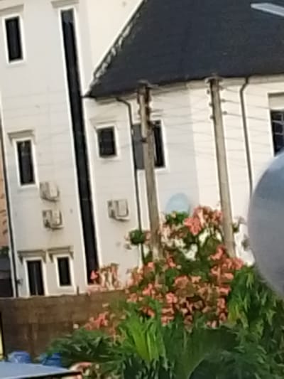The image shows a white building with a dark roof. There are several windows visible on the building. In the foreground, there are green plants and some pink flowers. The scene appears to be an exterior shot of a building in a city. The lighting suggests it might be daytime.