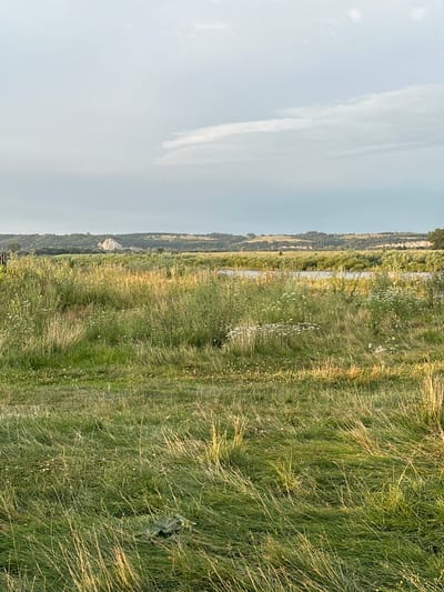 An outdoor, full-shot, eye-level, natural light photograph depicts a scenic landscape in Muksinovo, Russia. The foreground is dominated by a field of tall, green grass with scattered white wildflowers. A dark, leafy object lies on the ground in the lower right quadrant. In the midground, a calm body of water, likely a river, flows horizontally across the frame, bordered by dense green foliage and more wildflowers. Beyond the water, rolling hills covered in trees and lighter-colored rock formations stretch towards the horizon. The sky above is a pale blue with scattered white clouds, one of which is elongated and wispy. The overall impression is one of a serene, natural environment bathed in the warm light of late afternoon or early morning.