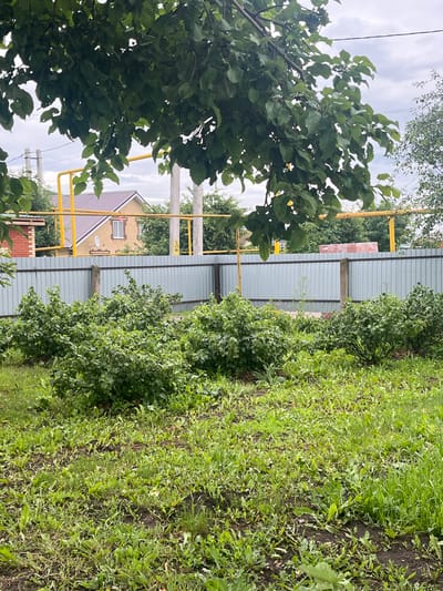 The image shows an outdoor scene in a rural or suburban setting, likely during the daytime with overcast skies. In the foreground, a large tree with green leaves partially obstructs the view. Beyond the tree, a yellow metal fence or scaffolding runs vertically through the image. Behind this structure, a house with a beige brick exterior and a brown roof is visible. The house has at least one window and a satellite dish. Adjacent to the house and extending to the right of the frame is a long, gray, corrugated metal fence. To the far right of the image, a strip of overgrown green grass and soil is visible, suggesting a garden or unkempt lawn. The overall impression is one of a residential property with landscaping and construction elements. There is no visible text in the image.