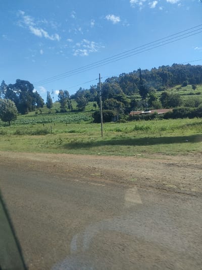 The image presents a rural scene in Kibirichia ward, Kenya. In the foreground is a dirt road, seemingly recently traveled. Beyond the road is a green, grassy field that slopes upwards towards a ridge. On the ridge is a mix of deciduous trees, and the landscape appears largely agricultural. An overhead power line runs across the scene. A simple structure with a corrugated metal roof is partially visible among the trees and crops. The sky is blue with scattered white clouds. A single telephone pole is visible.
