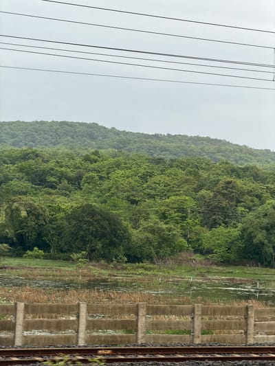 The image depicts a dense, green, hilly landscape covered in lush vegetation, likely a forest or a heavily wooded area. In the foreground, a body of water, possibly a marsh or a pond, is visible, dotted with aquatic plants and reeds. A concrete barrier with horizontal slats separates the water from a set of train tracks in the immediate foreground. Overhead, several electrical or telecommunication wires stretch across the frame against a cloudy, overcast sky. This scene is characteristic of the natural beauty found in the outskirts of Vasai-Virar, India, where such verdant terrains and rail lines are common.