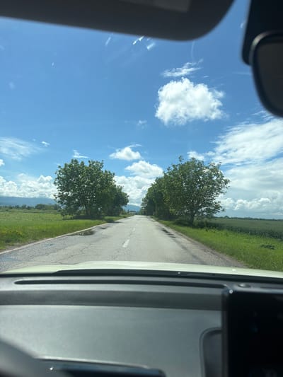 The image captures a rural landscape seen from the interior of a vehicle, possibly on a sunny day in Musachevo, Bulgaria. A paved road, marked with a broken white center line, stretches diagonally from the bottom center towards the upper right of the frame, receding into the distance. Patches of standing water or puddles are visible on the road surface, suggesting recent rainfall.

On the left side of the road, lush green grass and two prominent, verdant trees stand tall, their foliage rich and full. Beyond the trees and further into the background, undulating green fields give way to the faint outlines of distant mountains or hills under a bright blue sky. On the right side of the road, a wide expanse of green fields, likely cultivated crops, extends towards the horizon.

The sky is a vibrant blue, adorned with scattered, fluffy white cumulus clouds, indicating fair weather despite the wet road. Portions of the car's interior, including what appears to be the rearview mirror in the upper left and part of the dashboard or a pillar in the right frame, are visible, suggesting the photograph was taken by a passenger or driver. No visible text is present in the image. The scene evokes a sense of peaceful travel through a scenic countryside.