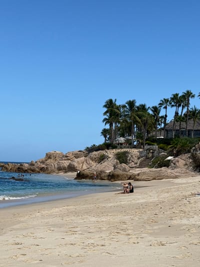The image displays a daytime beach scene at Playa Palmilla in San José del Cabo, Mexico. A clear, cloudless blue sky occupies the upper frame. The foreground consists of light tan sand. The mid-ground features calm, blue-green ocean water with gentle waves approaching the shore. Several dark rock formations are visible within the water on the left. Approximately six individuals are present in the water, appearing to swim or wade among these rocks. On the sandy beach in the mid-ground, two individuals in dark swimwear are seated near the water's edge. To their left, a person wearing a light hat stands in shallow water near a large rock, with another person partially submerged nearby. The right side of the frame shows a rugged coastline of large, light-colored boulders. A resort complex with dark-colored roofs and multiple tall palm trees is constructed on this rocky hillside. Stone steps lead up to a gated entrance structure on the hillside. Several light-colored patio umbrellas are visible on the resort grounds, and a single small white beach umbrella stands on the sand below the resort's elevated structures.