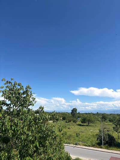 The image captures a bright, sunny day with a vast expanse of clear blue sky dominating the upper portion. A few wispy white clouds are scattered across the horizon. In the foreground, a lush green tree with dense foliage partially obstructs the view. Below, a rural landscape unfolds with rolling green hills, scattered trees, and patches of dry grass. A paved road runs horizontally across the bottom of the image, bordered by a light-colored sidewalk. Beyond the road, a few distant figures are visible in the field, and what appear to be animals, possibly cows, are grazing. A single lamppost stands near the road. The overall impression is one of a tranquil, open, and somewhat undeveloped rural setting.
