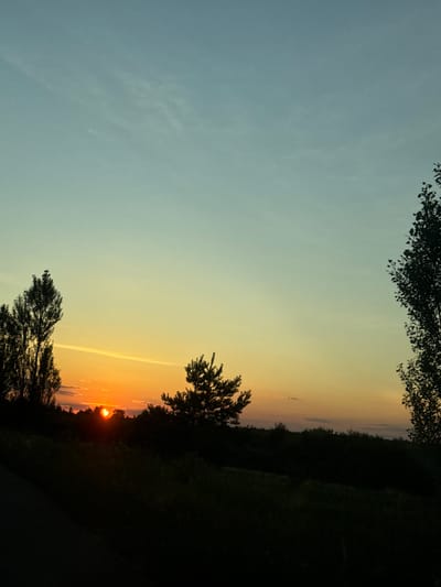 The image captures a sunset over a natural landscape, likely in or around the village of Dovhe, Ukraine. The sky transitions from a pale blue at the top to a vibrant orange and yellow near the horizon, with thin clouds streaking across the upper portion. Silhouetted against the bright sky are various trees and dense vegetation forming a dark, undulating treeline in the middle ground and foreground. Two prominent trees, one on the far left and another on the far right, are silhouetted, with the tree on the left appearing taller and more slender than the one on the right, which has a fuller canopy. A smaller, spiky evergreen tree is also visible in the middle ground, directly above the brightest part of the sunset. The sun itself is a distinct, glowing orb partially obscured by the treeline, casting a warm light. The foreground is a dark, shadowy expanse, suggesting either a road or densely overgrown ground, also silhouetted against the fading light. The overall impression is of a serene, natural scene at dusk.