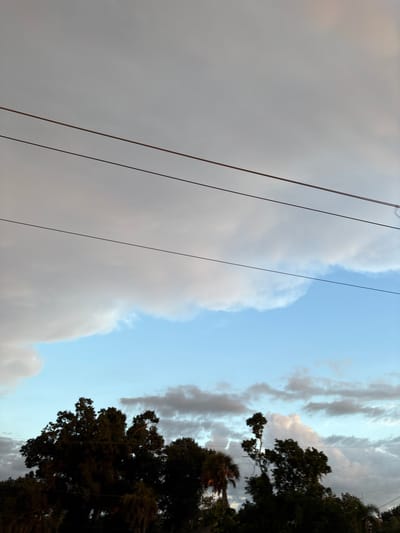 The image shows a sky with clouds and power lines, with trees at the bottom. The sky is a mix of gray and blue, with large, fluffy clouds dominating the upper half of the frame. The power lines are thin and dark, stretching horizontally across the sky. The trees at the bottom are dark and silhouetted against the sky, with their branches reaching upwards. The overall scene suggests an outdoor environment, possibly in a residential area, given the presence of trees and power lines. The lighting indicates it could be late afternoon or early evening, as the clouds are catching the light in a soft, diffused manner. The location is specified as South Venice, United States of America.