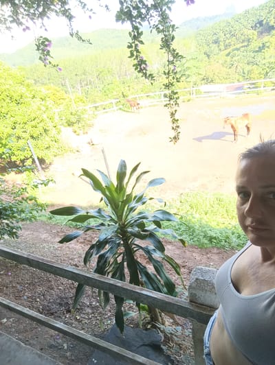 The image shows a woman standing near a railing, with a view of what appears to be a horse pen in Ban Tak Daet, Thailand. Two horses are visible in the pen. The background shows lush greenery, possibly a plantation or forested area. A plant is prominently positioned in the foreground near the railing. The sky is overcast.