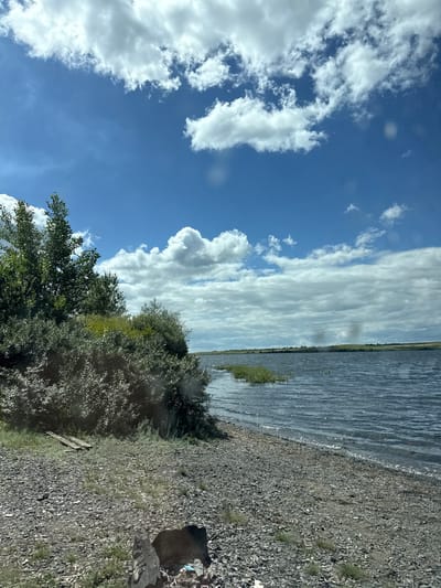 A wide-angle, eye-level, outdoor photograph depicts a natural landscape scene. The image is dominated by a large body of water, likely a lake or reservoir, under a partly cloudy blue sky. The water is choppy, indicating a breeze, and its surface reflects the light. The shoreline is composed of small stones and pebbles, with patches of sparse green vegetation growing amongst them. To the left of the frame, a dense cluster of green trees and bushes forms the foreground. In the distance, rolling hills covered in greenery can be seen along the horizon, beneath a horizon line that stretches across the width of the image. The overall impression is one of a serene, natural environment, possibly a recreational area or a place of natural beauty. There are no people visible in the image, and the scene appears tranquil. The image is assumed to be from Ivanovskii, Russia.