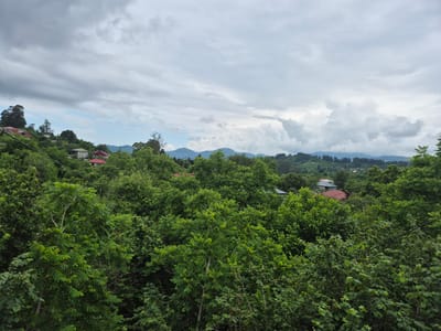 The image depicts a lush, green hillside dotted with houses, with a backdrop of rolling mountains under a cloudy sky. The foreground is dominated by dense foliage, with various shades of green indicating a variety of trees and plants. Scattered amongst the trees are several houses, identifiable by their red or gray roofs. Some of these homes are partially obscured by the vegetation, suggesting they are nestled within the natural landscape. In the distance, layers of mountains fade into the haze, their peaks softened by the atmospheric conditions. The sky is filled with a mix of gray and white clouds, with patches of lighter blue sky visible, suggesting an overcast or partly cloudy day, possibly in the late afternoon or early evening. There are no people or animals visible in the scene. The overall impression is one of a serene, rural setting, likely in a mountainous region of Georgia, given the location context. The weather appears mild, and the abundance of greenery points towards a temperate climate. No text is visible in the image.