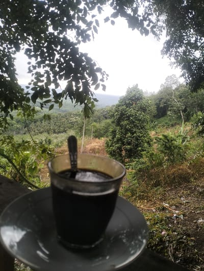In Teupinreusep, Indonesia, a glass of dark liquid, likely coffee, rests on a saucer. A spoon is submerged in the liquid. The glass and saucer are positioned on a wooden surface, possibly a railing or table. Beyond this foreground, a lush, green landscape unfolds. Dense foliage, including trees and smaller plants, covers rolling hills. In the distance, a hazy mountain range is visible under an overcast sky. The scene appears to be an outdoor vantage point overlooking a rural or natural area.