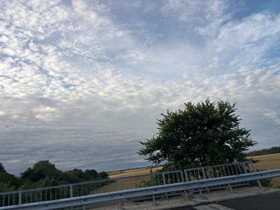 The image depicts a rural landscape, with a focus on the sky and a roadside barrier. The sky is filled with a mix of white, fluffy clouds scattered across a pale blue expanse, with some darker, more overcast clouds present in the distance. A large, dense green tree stands to the right of the frame, its branches reaching upwards. In the middle ground, there are fields, possibly agricultural, with shades of brown and gold. A metal guardrail, commonly found along roads or bridges, runs horizontally across the lower portion of the image. The scene appears to be a view from an elevated position, such as a bridge or overpass, looking out over the countryside. There are no people or animals visible in the image. The environment suggests a temperate climate. The location in the city of Bozduganovo, Bulgaria, is not discernible from the visual information presented in the image itself.