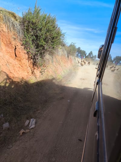 A dirt road in San Ignacio, Peru, is filled with dust kicked up by a herd of sheep being herded by a person in a purple shirt in the distance. The view is from inside a vehicle with the door visible on the right side. On the left side of the road, there is a dirt embankment covered with scrub vegetation, with trash visible at the base. The sky is blue.
