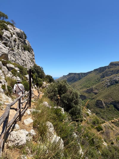 A woman wearing a wide-brimmed hat and a patterned skirt walks along a rocky path with a wooden railing. She is seen from behind, her right shoulder facing the camera. The path is on a hillside with sparse vegetation, including dry grasses and green shrubs. To the left, a steep, rocky cliff rises up, dotted with hardy green plants. To the right, the path descends into a lush, green valley with more rugged, terraced hillsides stretching into the distance under a clear blue sky. The scene appears to be outdoors in a natural, mountainous environment. This location is the Vendicari Nature Reserve, near Noto, Italy.