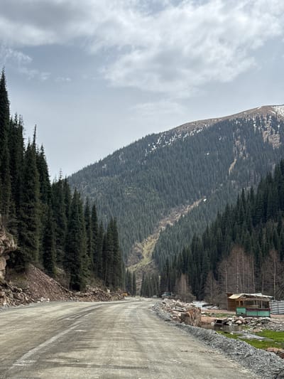 The photograph presents a rugged mountain landscape in Grigor'yevka, Kyrgyzstan, under an overcast sky. A dirt and gravel road occupies the right side of the frame, stretching away from the viewer into the distance. The road's surface shows tire tracks and appears damp in areas.
To the left, a large, steep mountain slope rises, densely covered in dark green coniferous trees, likely fir or pine, that extend far up the incline. Patches of snow are visible on the higher parts of the mountain, suggesting either significant elevation or a cold season.
In the mid-ground on the right, alongside the road, stands a small, rustic building or structure. It appears to be made of wood and features distinctive green and white striped elements, possibly awnings or parts of the roof. Rocks and some sparse green vegetation surround the structure and line the edge of the road. The sky is mostly covered by light gray clouds, creating a diffused, even light across the scene.
No people or explicit activities are depicted in the image, conveying a sense of serene natural beauty and remoteness. There is no visible text.
