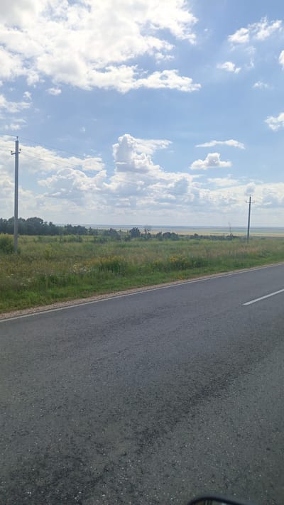 The image depicts a rural landscape in Rybushka, Russia, on a cloudy day. A paved road runs diagonally across the foreground, with a white line marking its edge. To the left of the road, a grassy field stretches towards a treeline in the middle distance. Several telephone poles with wires are visible in the field, along with scattered yellow wildflowers. Beyond the field, a wide, flat expanse of land extends to the horizon, suggesting a rural or agricultural area. The sky is filled with a mix of white, puffy clouds and patches of blue.