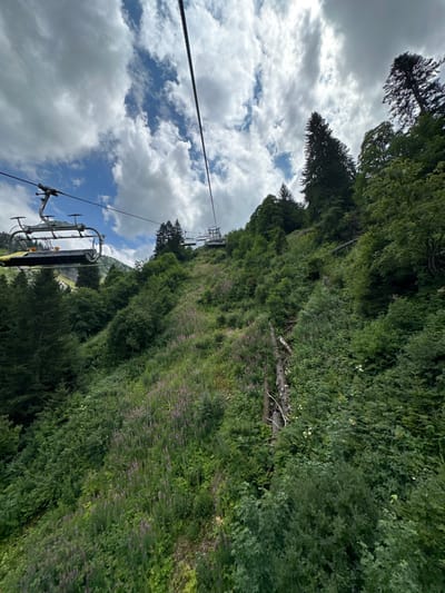 This image displays a view from an ascending chairlift in Châtel, France, overlooking a steep, heavily vegetated mountain slope during a green season. Two steel cables of the chairlift system extend diagonally across the frame, with one empty chairlift carriage positioned in the foreground on the left cable. Multiple additional empty carriages and at least two support pylons are visible further uphill along the right cable. The mountain slope is densely covered with a mixture of dark green coniferous trees, lighter green deciduous trees, various bushes, and ground flora. Patches of purple flowering plants are concentrated on the mid-left slope, while several decomposed tree trunks are present on the mid-right slope. The sky above features a combination of white cumulus clouds and clear blue patches. No individuals are present in the chairlift carriages or on the visible slope.