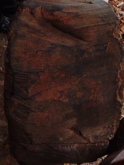 This close-up, top-down image features a large, irregularly shaped object with a highly textured surface, likely a natural rock formation or a piece of heavily weathered wood. The dominant colors are rich reddish-brown and dark brown, almost black in some areas, with lighter, more orange-brown patches highlighting the contours.

The surface exhibits prominent linear patterns and striations, running horizontally and diagonally across the object, suggesting layers, grain, or erosion marks. The texture is rough and uneven, characterized by grooves, ridges, and various levels of pitting and erosion. Some sections appear smoother, while others are more rugged and fragmented.

No people are present, and no specific activity or event is taking place; the image is a static portrait of the material. The background is out of focus, showing blurred earthy tones, consistent with an outdoor setting. The lighting suggests daytime, effectively accentuating the intricate details and color shifts on the object's surface. No visible text is present. The photograph captures the abstract beauty and natural patterns of this material in Estômbar e Parchal, Portugal.