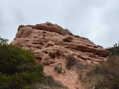 The media file is a landscape photograph of a large, multi-layered sandstone rock formation. The rock has a distinctly eroded appearance with numerous hollows, cavities, and swirling patterns carved into its surface, suggesting a long history of weathering and geological activity. The color of the sandstone ranges from a light pinkish-red to a deeper terracotta.
In the foreground and to the left, lush green foliage from trees and bushes partially obscures the base of the rock formation. Scattered around the rock face are patches of dry, brown grasses and smaller, dry shrubs, indicating a somewhat arid environment.
The sky above is overcast and appears a uniform light gray, suggesting a cloudy or foggy day. No people or animals are visible in the image. The overall scene evokes a sense of natural grandeur and the enduring power of geological processes. The location context provided is Lake Forest, United States of America. The image does not contain any visible text. The time of day is likely daytime, given the illumination, but the cloudy conditions obscure direct sunlight.