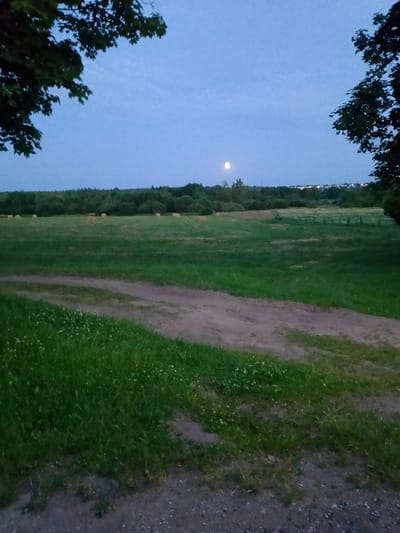 The image depicts a rural landscape under a twilight sky with a partially visible moon. In the foreground, a dirt path with patches of grass and small white flowers leads into a mown field. The field is dotted with several round hay bales, indicating agricultural activity. In the middle ground, a dense line of trees forms a dark horizon, beyond which a distant line of buildings with illuminated windows suggests a settlement. The overall scene is serene and quiet, characteristic of a rural area near a town. The location is identified as Докшыцкі сельскі Савет, Belarus.