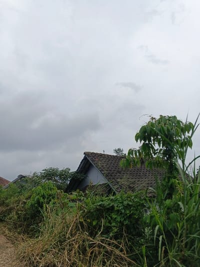 A scene in the city of Kabiufa, Papua New Guinea, is depicted under an overcast sky. The upper portion of the frame is dominated by a dense, uniform layer of grey clouds. In the middle ground, two residential structures with steep, gabled roofs are partially visible. The prominent structure in the center-right features dark, weathered roof tiles and light grey exterior walls, largely obscured by dense, varied green foliage. A second, smaller building with a similar tiled roof and a reddish-brown wall section is situated behind and to the left of the primary structure. The foreground is heavily overgrown with a mix of tall, dry grasses and lush green leafy plants, suggesting an unkempt natural environment. A segment of a dirt path or road is visible along the bottom left edge. No individuals or discernible actions are present in the scene.