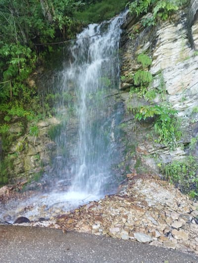 A narrow waterfall cascades down a rocky cliff face covered in lush green vegetation. The water flows over layered sedimentary rocks, some of which are a light tan color and appear to be weathered. Small white flowers and various green plants are scattered across the rock face, adding to the natural beauty of the scene. At the base of the waterfall, a mound of loose stones and rocks has accumulated, creating a natural barrier between the water and a paved surface, possibly a road or pathway. The environment appears to be a natural setting, likely in a rural or mountainous area. The location is identified as Sharo-Argun, Russia.