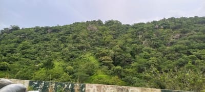 The image shows a densely forested hillside under a cloudy sky. The hillside is covered with a variety of green trees and vegetation, with some exposed rock formations visible. The foreground features a concrete barrier with some rounded, light-colored objects, possibly rocks or part of a vehicle, in the lower left corner. The overall scene depicts a natural, undeveloped landscape. The specific location within the city of Gu, Nigeria, is not identifiable from the visual information in the image alone.