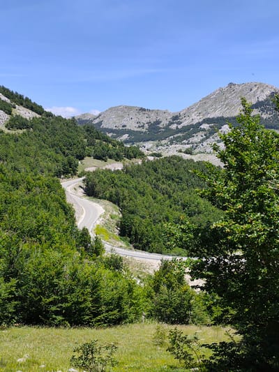 The image depicts a scenic mountain landscape with a winding road. Lush green trees cover the slopes of the mountains, creating a dense forest. The road, paved with asphalt, curves through the trees, with guardrails visible along its edges. In the background, rugged, rocky mountain peaks rise against a clear blue sky. The foreground features a grassy meadow with scattered rocks and some smaller bushes. The scene appears to be a rural or natural area, likely part of a mountain range. Based on the provided information, this scene is located in Dolovi, Montenegro. No people or specific actions are visible in the image.