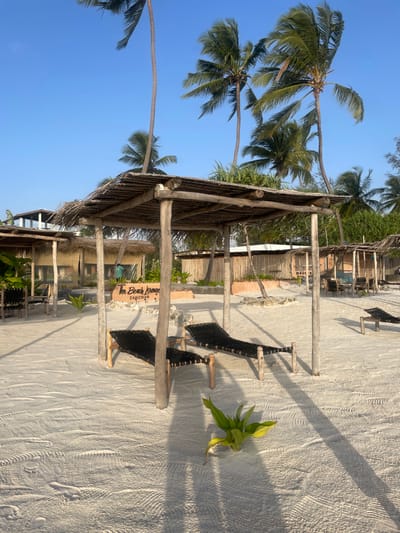 This image captures a serene tropical beach lounge area, likely in Kiwengwa, Zanzibar, Tanzania, as indicated by the context and visible text. The scene is bathed in the soft, warm light of either early morning or late afternoon, as evidenced by the long shadows stretching across the sand.
Dominating the left side of the frame is a rustic, open-sided structure with a thick, thatched roof, supported by robust wooden poles. This structure provides shade and defines a comfortable gathering space. Extending from beneath this structure and across the sandy ground are several black, woven beach loungers with wooden frames, inviting relaxation.
The foreground and midground are covered in smooth, light-colored sand, marked with subtle ripples and faint footprints. On the far right, a small, vibrant green plant emerges directly from the sand.
Above and to the left of the thatched structure, and further into the background, several tall palm trees with lush green fronds sway gently against a clear, brilliant blue sky. More tropical vegetation and additional wooden structures, consistent with a resort or beachside establishment, are visible in the background, adding to the exotic ambiance.
A notable detail is a wooden sign hanging from the thatched roof, clearly displaying the text "The Beach Lounge" on the upper line and "ZANZIBAR" below it, confirming the specific location and purpose of this inviting spot. There are no people visible in the image, emphasizing the peaceful and tranquil atmosphere of the setting. The clear sky suggests sunny and pleasant weather conditions, ideal for a beach getaway.