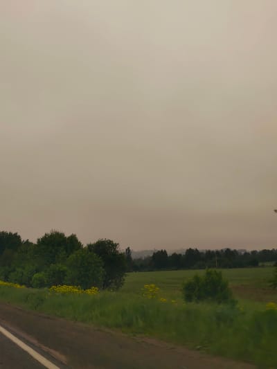 This image captures a rural landscape in Kvarsa, Russia, dominated by a vast, muted brownish-grey sky that occupies the upper two-thirds of the frame. This uniform sky suggests overcast conditions, haze, or possibly atmospheric smoke, contributing to the subdued lighting throughout the scene.

Below the expansive sky, the landscape unfolds with lush greenery. A dense line of green trees forms the immediate midground, interspersed with patches of vibrant yellow wildflowers, particularly on the left side. Further into the background, rolling green fields are visible, bordered by more distant treelines and gently rising terrain that fades into the atmospheric haze. The overall impression of the terrain is one of gentle undulation.

In the foreground, the edge of a dirt road with a partial white dividing line is visible, suggesting the photograph was taken from a moving vehicle. No people or man-made structures other than the road are distinctly visible. The time of day appears to be daytime, but the lack of direct sunlight and the pervasive haze create a somewhat somber or quiet ambiance. There is no visible text in the image.