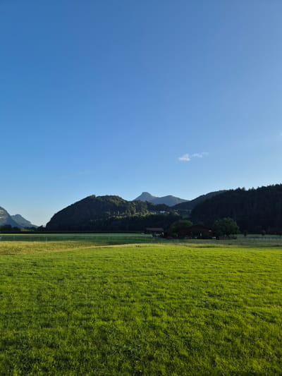 A wide-angle, landscape photograph captures a verdant green meadow in the foreground under a clear, bright blue sky. The meadow is evenly cut and appears well-maintained, with subtle undulations. In the middle ground, a white fence line runs horizontally, separating the meadow from a darker band of trees. Beyond the trees, rolling hills covered in dark green forest rise up, with the peaks of mountains visible in the distance.
Nestled within the treeline are a few structures that appear to be rural buildings, likely part of a farm or a small settlement. A brown-roofed building with a long profile is visible, and to its left, a smaller, red-roofed structure is partially obscured by trees. The overall impression is of a peaceful, rural setting, characteristic of the Austrian Alps. The image is likely taken in Niederndorf, Austria, given the characteristic landscape of the region. There are no people or animals visible in the frame.