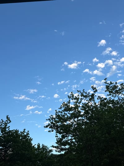 The image shows a section of a bright blue sky with scattered white clouds, viewed from a low angle looking upwards. The tops of several lush, dark green trees are visible in the foreground, silhouetted against the sky. The scene appears to be an outdoor environment, likely a park or residential area, in Amstelveen, Netherlands, given the typical foliage and clear sky conditions often observed there. No people or animals are present in the frame.