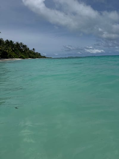 The image shows a tropical beach scene with clear turquoise water and a line of palm trees along the shore. The sky is partly cloudy with some dark gray clouds present. The foreground is dominated by the ocean, with gentle ripples and small dark specks floating on the surface. In the background, a sandy beach meets a dense line of lush green vegetation, primarily palm trees. The overall impression is a serene and idyllic tropical setting, likely in Dhigurah, Maldives, given the characteristic scenery.