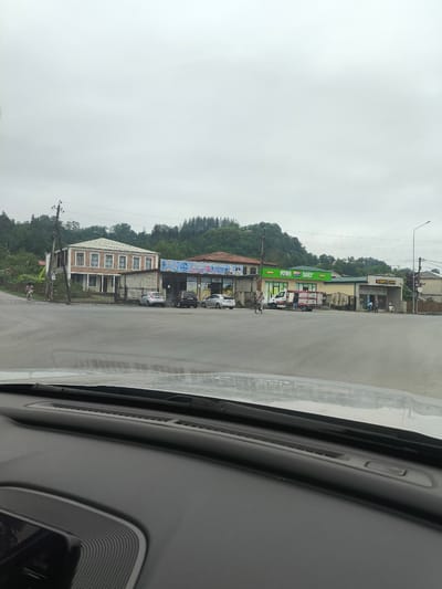 The image depicts a street scene in Martvili, Georgia, likely near a junction. In the foreground, the dashboard and windshield of a vehicle are visible, suggesting the photo was taken from inside a car.

The mid-ground features a row of buildings lining a road. One prominent building is a two-story structure with a light-colored facade and dark-tiled roof, featuring multiple windows. Adjacent to it is a single-story building with a green sign that reads "ECONOM DAILY." Further to the right, another single-story building has a sign with Georgian script. Several cars, including a white hatchback and a black sedan, are parked in front of these establishments. A white van with a red stripe is also present, and a few people are visible near the shops, some on foot and one on a bicycle. A traffic light is visible on a pole in the far right of the image.

The background shows a dense, green hillside covered with trees, indicating a semi-rural or outskirt setting within Martvili. The sky is overcast and gray, suggesting a cloudy day. The overall scene portrays a typical day in a Georgian town with commercial activity and road traffic.