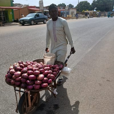 A man wearing a white robe and a black cap is pushing a wheelbarrow filled with onions on a paved road in the city of Kufang, Nigeria. The road is lined with buildings and trees. The man is walking on the right side of the road. There is a blue car parked on the left side of the road. There are other people walking in the distance on the left side of the road. The wheelbarrow has a plastic bucket on top of the onions. The man's shadow is cast on the road. There is a white plastic bag on the right side of the wheelbarrow.
