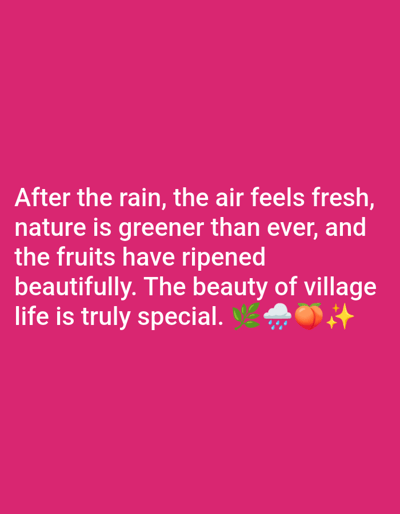 The image is a quote overlaid on a solid pink background. The quote reads, "After the rain, the air feels fresh, nature is greener than ever, and the fruits have ripened beautifully. The beauty of village life is truly special." The quote is accompanied by four emojis: a leaf, a cloud with rain, a peach, and two sparkling stars. The quote is positioned in the upper half of the image. There is no information or imagery present in the picture that relates to the city of Baş-Bulak, Kyrgyzstan.