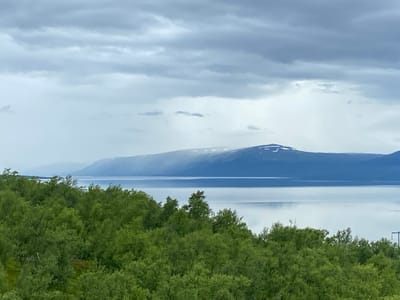 The image depicts a serene landscape with a vast, calm body of water reflecting the overcast sky. In the foreground, a dense forest of lush green trees stretches across the frame, their leaves a vibrant contrast to the muted tones of the sky and water. Beyond the water, a mountain range rises, its peaks capped with snow, creating a striking silhouette against the hazy horizon. The overall atmosphere is one of tranquility and natural beauty, likely captured in the Scandinavian wilderness, perhaps near Kiruna, Sweden, known for its expansive natural landscapes and mountainous terrain.