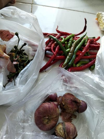 The image captures a close-up, elevated view of fresh cooking ingredients arranged on a white tiled floor, likely indoors. The main subjects are a pile of vibrant red and green chili peppers, which dominate the central area of the frame. The red chilies are long and slender, while the green ones are shorter and mixed in.
To the left, a clear plastic bag holds what appears to be discarded vegetable scraps, including chili pepper stems and some light brown onion peels. Adjacent to this bag are hints of a lighter-colored vegetable, possibly garlic or peeled onion, though not clearly defined.
In the bottom right corner, another clear plastic bag contains several red onions or shallots. Some are whole with their reddish-purple skins, while others show loose or peeled outer layers. The overall scene suggests a moment of preparing ingredients for cooking, possibly after a market trip, with the items being sorted or cleaned on the floor. No specific human activity is shown, but the context implies domestic preparation. The lighting is bright, indicating daytime. There is no visible text or identifiable person.