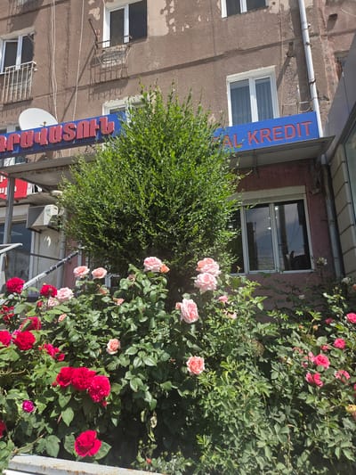 The image shows a storefront with blooming rose bushes in front of it. A blue sign with red lettering is partially visible, reading "AL KR edit" and "THUSHTH" vertically. The building appears to be an older structure with a brown facade and windows. The rose bushes are lush and covered in pink and red flowers, suggesting a sunny day in a location with a temperate climate. The scene is likely set in a town or city in Armenia, given the provided location context of the Gyumri-Akhuryan border. The overall impression is one of vibrant nature contrasting with urban architecture. No people are visible in the image.