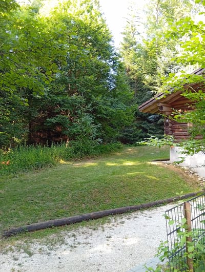 The image depicts a rustic wooden cabin nestled amidst lush green foliage in Meiniswil, Switzerland. The cabin, constructed from logs, features a visible window and is partially obscured by vibrant green leaves in the foreground. Surrounding the cabin is a manicured lawn, with a large fallen log running along its edge. Beyond the lawn, dense trees form a natural backdrop, with sunlight filtering through the leaves, creating dappled shadows. A gravel path and a black metal fence are visible in the lower right portion of the frame. The scene evokes a sense of tranquility and natural beauty.