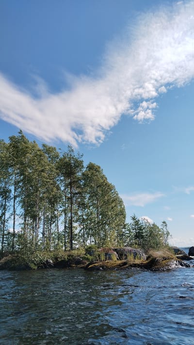 The image depicts a tranquil scene of a small, rocky island covered with lush green trees and vegetation, situated in the foreground of a bright blue sky with scattered white clouds. The water in the foreground is dark and rippling, reflecting the sky and the surrounding trees. The island is rocky and uneven, with moss and small plants growing amongst the rocks. A dense line of trees, primarily deciduous with some coniferous trees mixed in, stands tall on the island, their leaves rustling gently in the breeze. The sky is a clear, vibrant blue, with wisps of white clouds creating a sense of depth and movement. The overall impression is one of natural beauty and serenity. The location is the city of Nadvoitsy, Russia, on the White Sea Canal, a vast body of water that connects Lake Ladoga to the White Sea. The image captures the essence of the natural landscape in this region, characterized by its islands, forests, and extensive waterways.