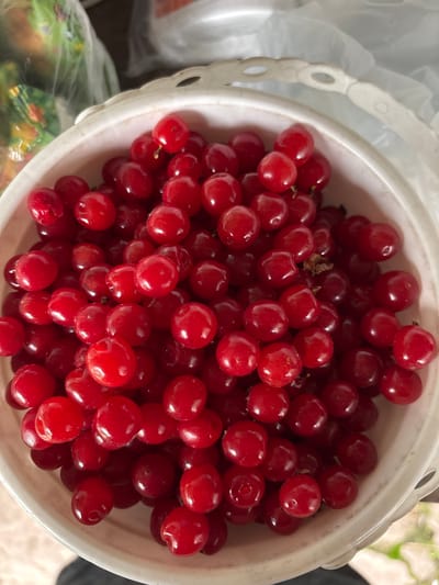 A close-up, overhead shot shows a white, lacy-edged bowl overflowing with bright red, plump cherries. The cherries are clustered together, with some stems visible. The bowl is positioned on a surface that is mostly obscured by the fruit, but hints of a blurred background suggest an indoor setting with plastic bags and possibly some greenery. The lighting is natural and even, highlighting the glossy sheen of the cherries. The scene appears to be set in Siniy Gay, Russia.