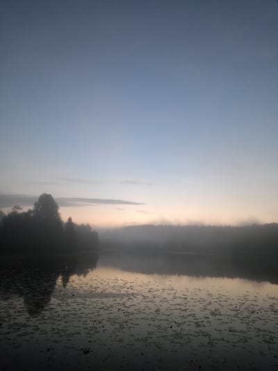 A serene, misty lake scene unfolds at dawn, likely in Lumbushi, Russia. The sky is a pale, gradient blue, transitioning to soft pink and peach hues near the horizon, hinting at the rising sun obscured by thick fog. A dense line of silhouetted trees forms the distant shoreline, their forms blurred by the atmospheric haze. In the foreground, the calm water is dotted with numerous lily pads, their dark shapes creating a textured pattern on the surface. The reflection of the treeline and the subtly colored sky is visible in the still water, adding to the tranquil and slightly mysterious ambiance of the early morning. No people or animals are discernible in the image.