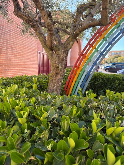 The image presents a view in Azuqueca de Henares, Spain, showcasing an exterior scene with natural and man-made elements. A tree with a gnarled trunk and sparse foliage stretches across the frame. A rainbow-colored structure, possibly an art installation or playground equipment, is positioned near the tree. A dense green hedge or shrubbery occupies the right side of the image, with tightly packed, glossy leaves. In the background, a brick building with louvered windows is partially visible. The overall scene appears to be a residential area or a public space like a park. A vehicle is visible in the far background.
