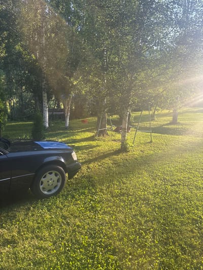 In Artavaz, Armenia, a dark-colored car is parked on a sun-drenched lawn, its hood covered by a bright blue cloth. The car is positioned on the left side of the frame, with its front wheel clearly visible. Beyond the car, the lawn is lush and green, dotted with patches of clover and other low-growing plants, and bathed in the warm glow of the setting sun. Several birch trees with distinctive white bark are scattered across the yard, their leaves creating a dappled canopy. In the background, a swing set with two red seats is set up under the trees. Further in the distance, a red plastic container is visible, and beyond that, a densely wooded area with more trees. The overall scene depicts a peaceful, outdoor setting on a clear, sunny day.