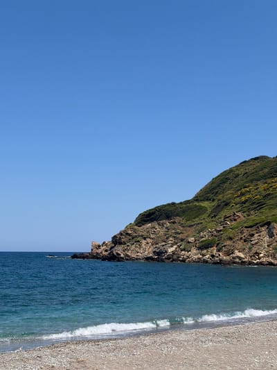 A pebble beach slopes down to meet the tranquil, azure waters of the Aegean Sea. Small white-capped waves gently lap at the shore. In the mid-ground, dark rocky outcrops emerge from the sea, forming a rugged coastline. The background is dominated by a steep, verdant hillside, covered in dense green foliage and dotted with patches of bright yellow wildflowers. The hillside recedes into the distance, meeting a clear, cloudless blue sky. A tiny, dark speck, possibly a distant bird or aircraft, is visible in the upper left quadrant of the sky. The scene depicts a serene coastal landscape in Kalyvia, Greece.