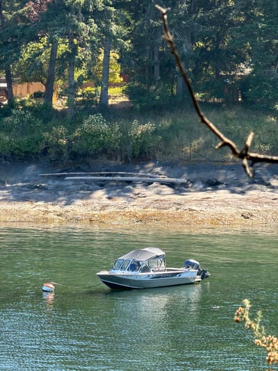 In the Southern Gulf Islands Electoral Area, Canada, a medium-sized motorboat with a canvas top is anchored in green, choppy water. The boat, a Weldcraft, has the registration "BC 6991720" visible on its side and a Yamaha outboard motor at the stern. It is connected by a rope to a white and orange buoy floating nearby. The shoreline in the background features a rocky, sandy beach with driftwood logs scattered across it. Beyond the beach, a dense forest of evergreen trees rises, with some sunlight filtering through the branches. A thin, bare tree branch extends into the foreground, obscuring part of the scene.