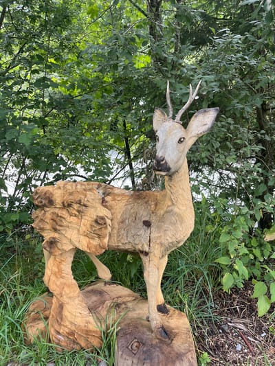 A full-shot, eye-level, outdoor, eye-level, medium-long shot captures a wooden sculpture of a deer in a natural setting. The sculpture is intricately carved from a light-colored wood, with visible grain and texture that mimics fur. The deer stands on a rough-hewn wooden base, which is partially embedded in green grass and dirt. The deer sculpture is facing to the right of the frame, with its head turned slightly towards the viewer. It has detailed antlers, expressive eyes, and a lifelike posture. The background consists of lush green trees and foliage, with hints of water or a sky peeking through the leaves. The overall impression is one of a rustic art installation blending harmoniously with its environment. The sculpture is located in the city of Wengen, Switzerland.