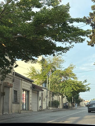 The image depicts a street scene in Baku, Azerbaijan, featuring a row of buildings with shops on the left side of the road. Trees with dense green foliage overhang the street and the buildings. The buildings appear to be commercial establishments, with several storefronts featuring rolled-down shutters. One storefront has a glass door with a red and white sign visible inside. A sidewalk runs along the front of the buildings. The street is paved and appears to be a two-way road. Several cars are visible on the road, with one dark-colored car prominently in the foreground on the right, showing a license plate that begins with "90". In the distance, a few people are standing on the sidewalk. The sky is a pale blue with some wispy clouds. The overall impression is of a residential or mixed-use urban street with a moderate amount of greenery.