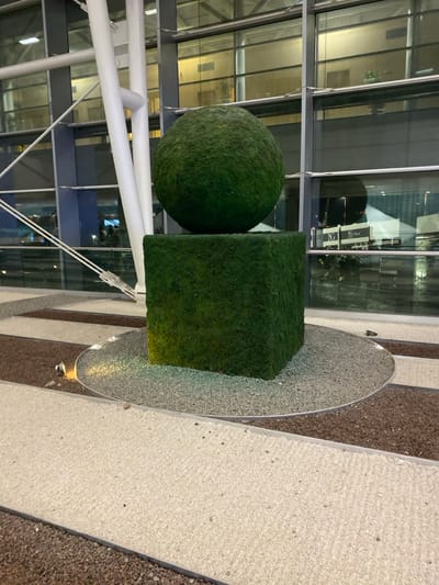 A green sphere and cube stand together in front of a glass-walled building supported by white structural beams. The geometric shapes rest on a reflective oval, which sits on a tiled floor of alternating light and dark materials. The building's facade reflects interior lighting and details of furniture and signage, creating a complex background for the natural shapes.